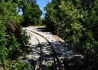 2012.06.30 Bilder rund um die Pilionbahn (19)